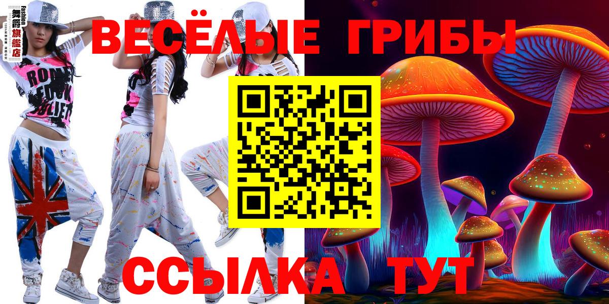 Карачаевск  Псилоцибиновые грибы ЛСД  Галлюциногенные грибы Cubensis  Вход с VPN 
